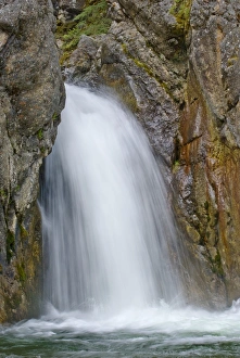 Nature & Wildlife Gallery: 