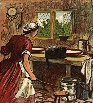 Cat In The Dairy
