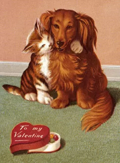 Unhealthy Eating Gallery: Cat and Dog Valentine