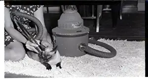 Vacuum Prints: Cat Getting Vaccuum Bath