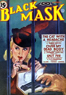 Makeup Prints: The Cat with a Headache