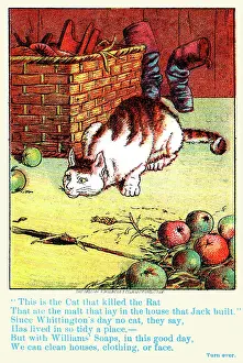 Poem Prints: The Cat that Killed the Rat