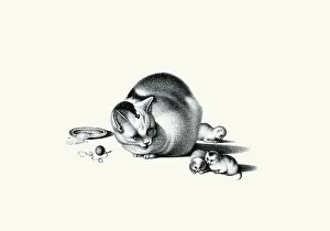 Kittens Prints: Cat and Kittens