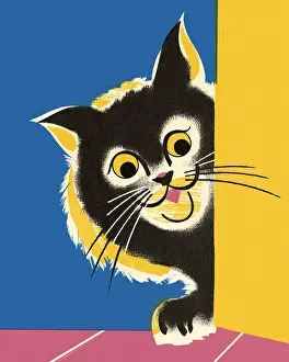 Cat Looking Around a Corner