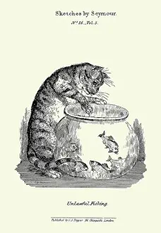 A cat pawing at goldfish in a bowl
