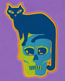 Cat Sitting on Skull