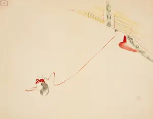 Cat on String