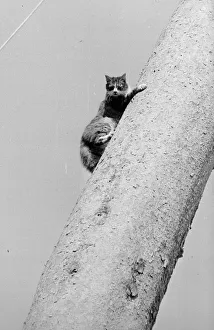 Images Dated 1979: March Collection