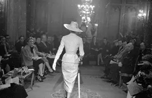 Designer Collection Prints: Cat Walk