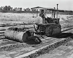Huty34298 Prints: Caterpillar D2 Tractor Fitted With A Killefer Tumblebug Scraper