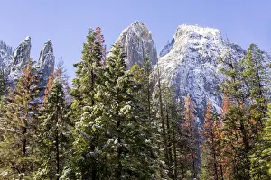 Yosemite National Park Prints: Cathedral Rocks covered with snow, Yosemite National Park, California, USA