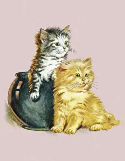 Ilus Prints: Two Cats