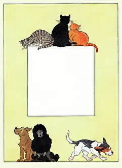 Dogs Prints: Cats & Dogs