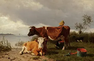 Bovine Prints: Cattle and Dairy Maid
