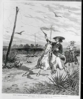 Telegraph Wire Prints: Cattle Herder Shooting Telegraph Insulators