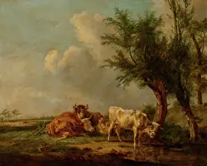Bovine Prints: Cattle in a Polder Landscape