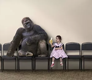 Funny Animal Prints Gallery: Caucasian girl offering banana to gorilla