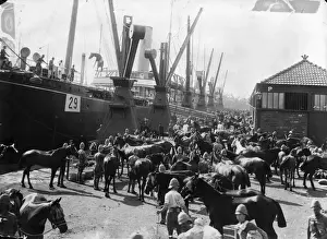Transport British Europe Prints: Cavalry Embark