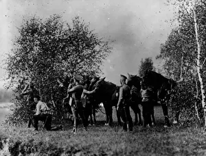 Cavalry Scouts
