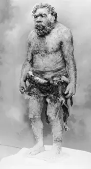 Anthropology Prints: Cave Man