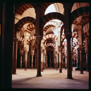 Cordoba Prints: Ceiling and Pole Structure View Inside Mosque