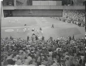 Celebration After Yankees Win