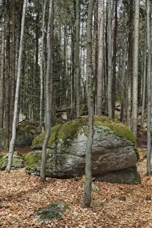 Images Dated 27th April 2013: Celtic place of worship at Druidenweg in the inner stone circle, Yspertal, Waldviertel