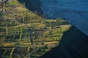 Images Dated 31st July 2011: Cemoro Lawang, MT Bromo, Indonesia