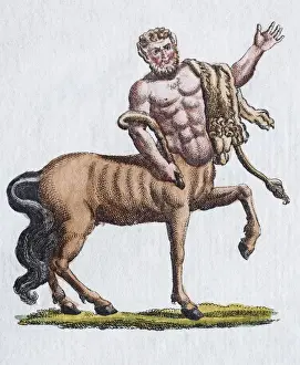 Animal Like Prints: Centaur, hand - colored copper engraving from Friedrich Justin Bertuch Picture book for children
