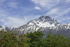 Cerro Castillo mountain range and Chilean fire bush, also Notro or ciruelillo -Embothrium coccineum