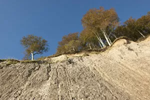 Images Dated 16th October 2011: Chalk cliffs and a beech forest in autumn, Jasmund National Park, Ruegen
