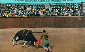 Spectators Prints: The Challenge Of The Matador
