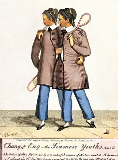 Twins Prints: Chang, & Eng. the Siamese Youths. Aged 18