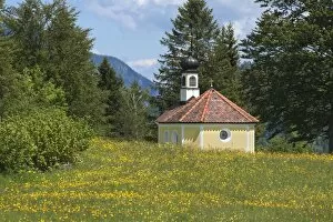 Images Dated 31st May 2014: Chapel Maria Rast auf den Buckelwiesen, with a flowering spring meadow, Krun, Bavaria, Germany