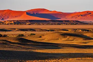 Characteristic red dunes of Sossusvlei area with sand and gravel plains in foreground, at dawn, Namib-Naukluft, Namibia