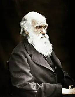 Natural Sciences Prints: Charles Darwin