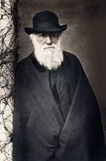 Finch Prints: Charles Darwin
