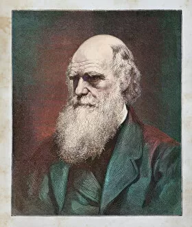 Legends and Icons Collection: Charles Darwin naturalist portrait 1882