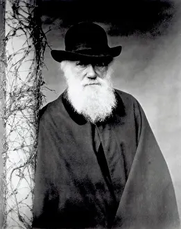 Cape Prints: Charles Darwin Portrait