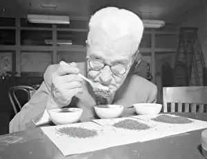 Charles F Prints: Charles F. Hutchinson Sniffing Tea from Spoon
