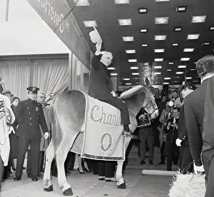 Mule Prints: Charles O. Finley Riding Mule Mascot