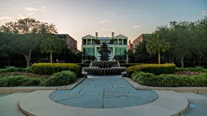 Images Dated 19th December 2016: Charleston Pineapple