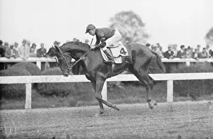 Maryland Prints: Charley Kurtsinger Riding Winning Horse