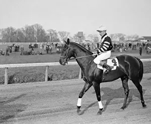 Jockey Prints: Charlie Kurtsinger on War Admiral