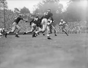 College Student Prints: Charlie Trippi Playing College Football