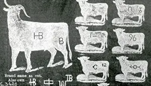 Chart of Branding Symbols