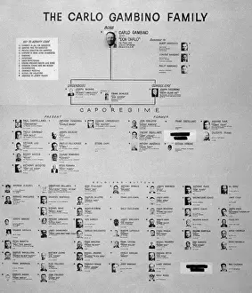 Crime Prints: Chart of Gambino Crime Family