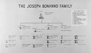 Chart for the Joseph Bonanno Family Senate Investigating Trial