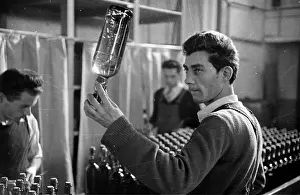 Roles And Oc Prints: Chartreuse Liqueur
