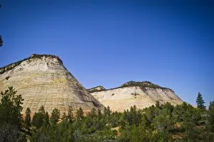 Images Dated 11th June 2011: Checkerboard Mesa, Zion National Park, Utah, USA